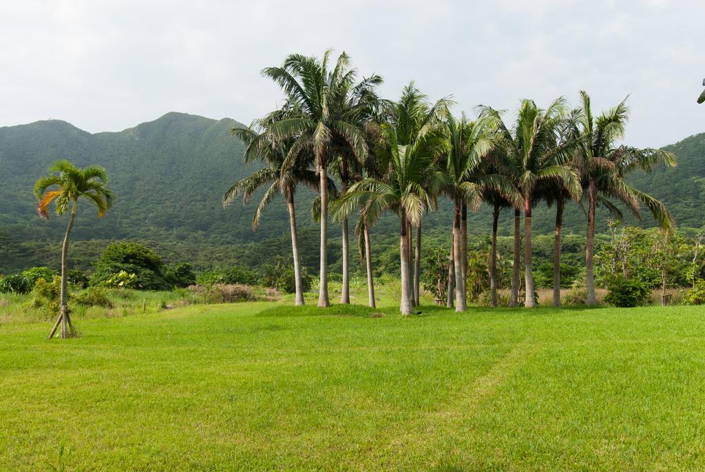 La Teada Ishigaki Resort Kawahira Exterior foto